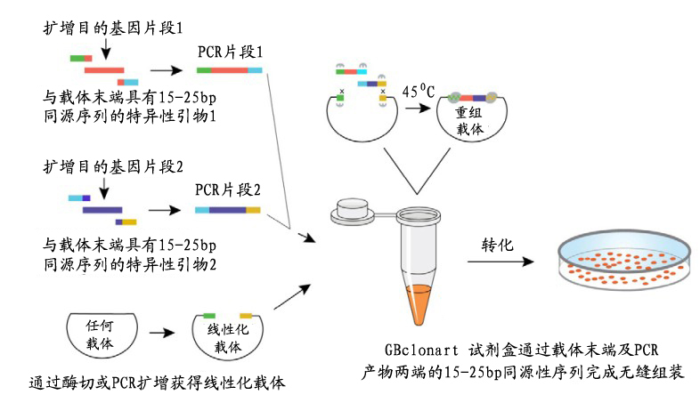 BBIN游戏(集团)有限公司官网