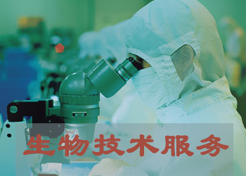 生物手艺效劳