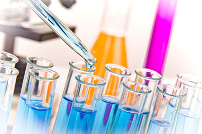 BBIN游戏生物实验