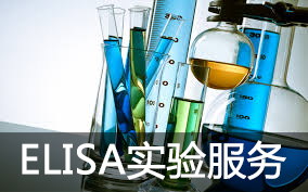 elisa实验效劳(酶联免疫吸附试验)