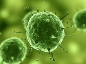 Nature：治疗实体瘤有了明确靶标，，，，，肿瘤干细胞确实保存