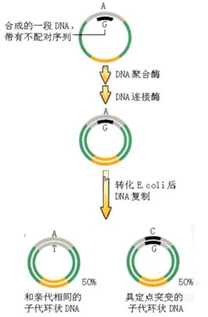 BBIN游戏(集团)有限公司官网