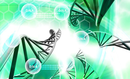 分子生物学实验手艺