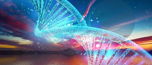 BBIN游戏(集团)有限公司官网