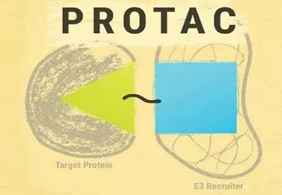热门前沿:PROTAC初露矛头，，，SD-36对抗肿瘤效果卓越