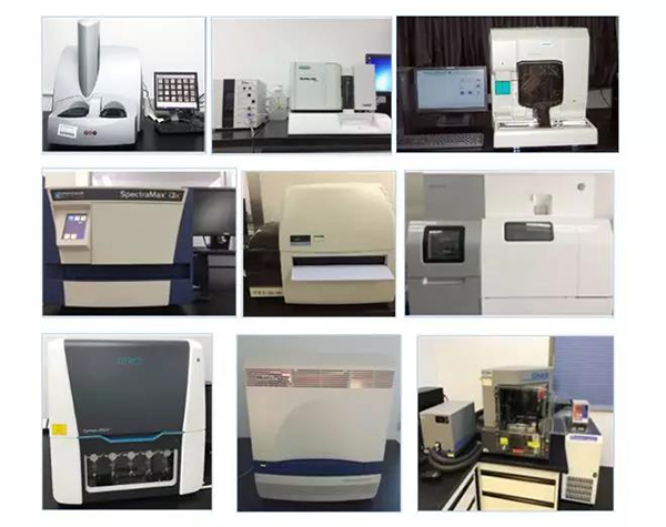 BBIN游戏生物手艺药物剖析部分拥有SpectraMaxM4/M5/i3x, MSD, Luminex, Biacore 8K, Envision, Gyrolab，，ABI7500 qPCR等全方位多功效的手艺平台，，使用LIMS系统实验周全的实验室信息化治理，，提供周全切合FDA/CFDA/OECD GLP规范要求的生物手艺药物剖析效劳。。。