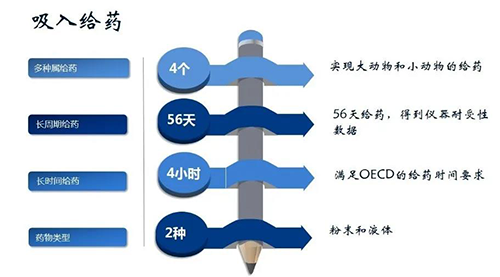 BBIN游戏吸入给药清静性评价效劳