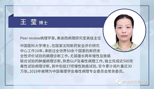BBIN游戏病理研究部高级主任王莹博士
