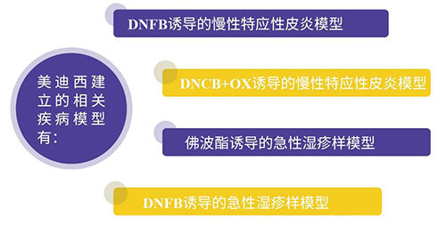 BBIN游戏建设的特应性皮炎及湿疹模子
