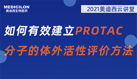 【云课堂】：怎样有用建设PROTAC分子的体外活性评价要领？？