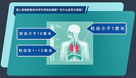 吸入药物的粒径漫衍为何云云主要？？？？在什么区间才理想？？？？
