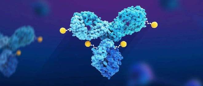 天下肿瘤日聚焦：AACR年会引领全球肿瘤新药趋势，，，，国产药引领风潮