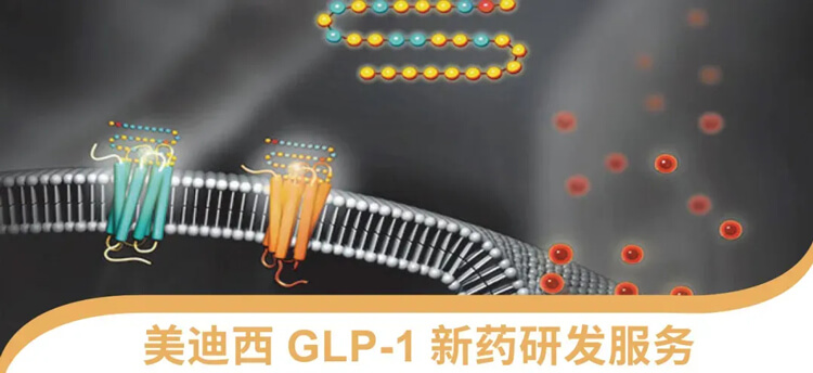 BBIN游戏GLP-1新药研发效劳平台.jpg